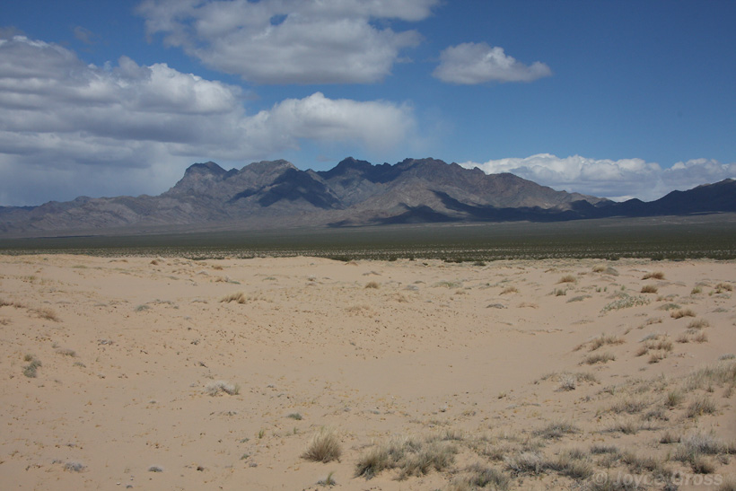 Kelso Dunes, Mojave National Preserve, California