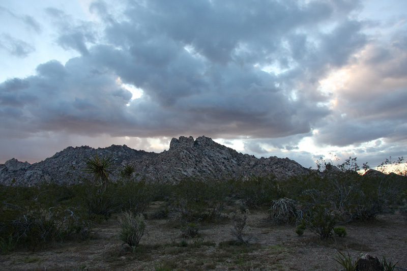 Granite Mountains, Mojave National Preserve, California