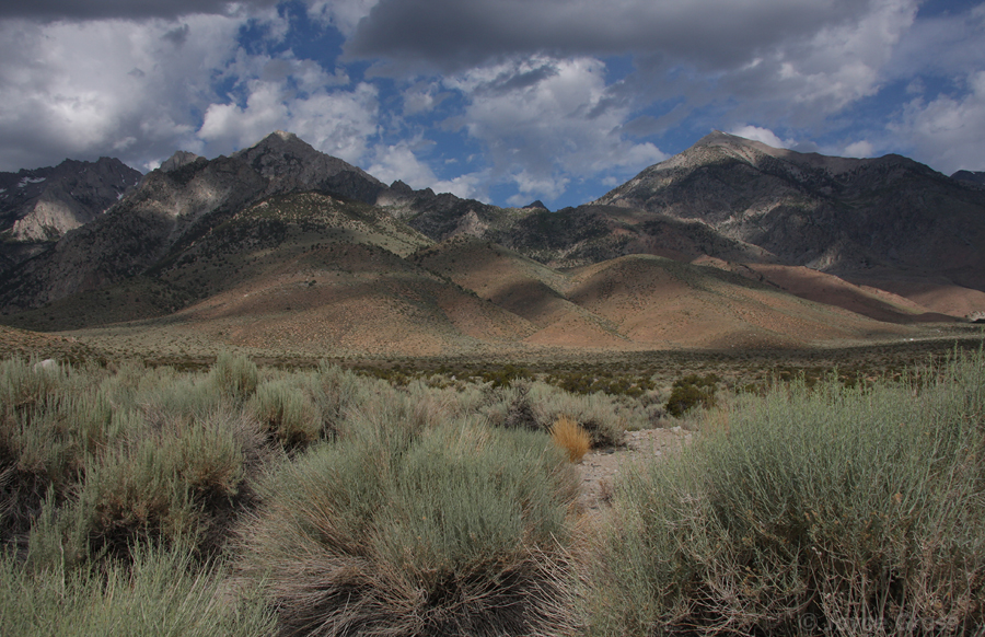 Eastern Sierra Nevada Mountains, west of Independence, California
