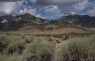 Eastern Sierra Nevada Mountains, west of Independence, California
