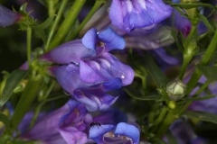 064