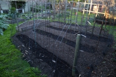 035_429_Warwick_Ave_20180221_48