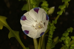 065_429_Warwick_Ave_20180221_08