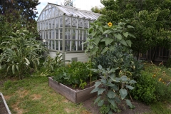 050_429_Warwick_Ave_20160522_28