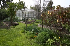 030_429_Warwick_Ave_20180319_26