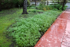 075_429_Warwick_Ave_20180320_02