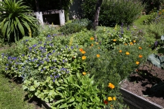 125_429_Warwick_Ave_20180413_07