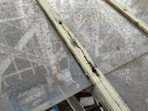 greenhouse roof replacement