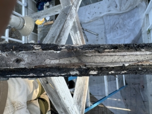 greenhouse roof replacement