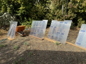 greenhouse roof replacement