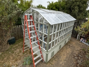 greenhouse roof replacement