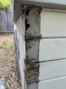 greenhouse wall repair
